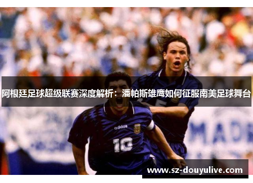 阿根廷足球超级联赛深度解析：潘帕斯雄鹰如何征服南美足球舞台