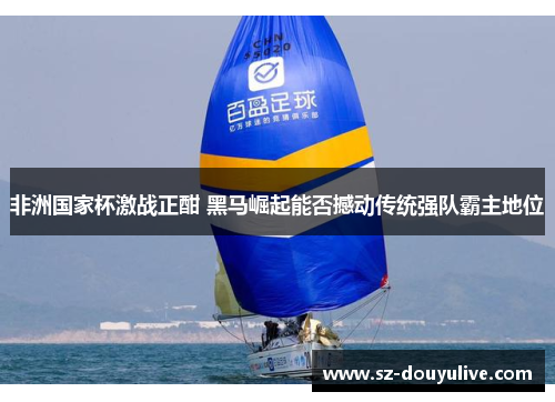 非洲国家杯激战正酣 黑马崛起能否撼动传统强队霸主地位