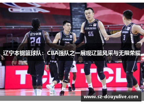 辽宁本钢篮球队：CBA强队之一展现辽篮风采与无限荣耀